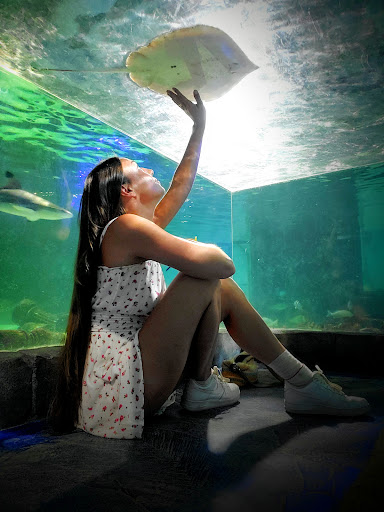 Aquarium «SeaQuest Interactive Aquarium Las Vegas», reviews and photos, 3528 S Maryland Pkwy #340, Las Vegas, NV 89169, USA