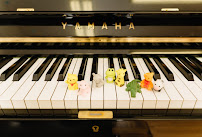 Machiko Music & Art - Photo 5 - Car repair in Culver City, CA, Los Angeles