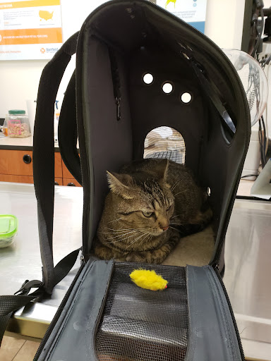 Pet Supply Store «PetSmart», reviews and photos, 11132 Abercorn St, Savannah, GA 31419, USA