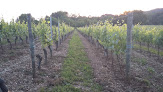 Domaine Trichon Vins Biologiques Lhuis