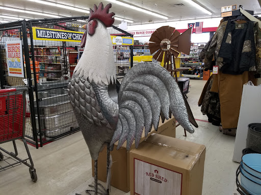Home Improvement Store «Tractor Supply Co.», reviews and photos, 389 Comfort Dr, Harrison, OH 45030, USA