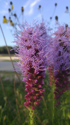 Nature Preserve «Hoover Forest Preserve», reviews and photos, 11285 W Fox Rd, Yorkville, IL 60560, USA