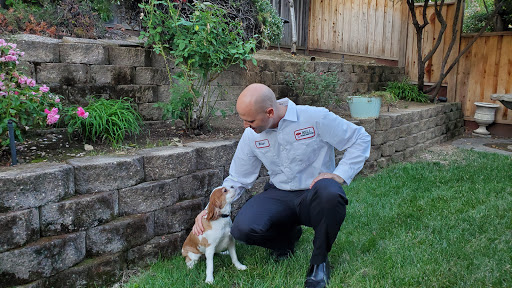 Bell Pest Control image