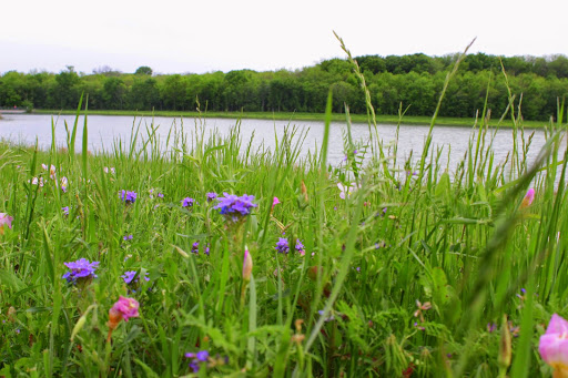 Park «Russell Creek Park», reviews and photos, 3500 McDermott Rd, Plano, TX 75025, USA