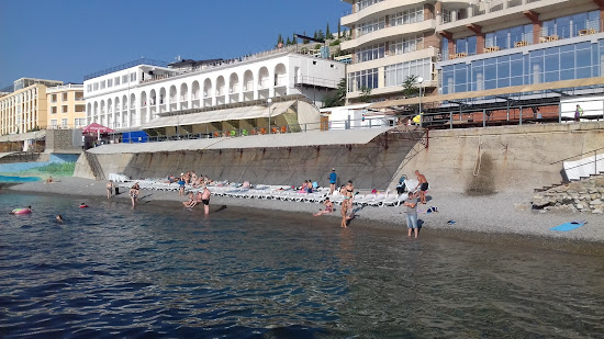 Dolphin beach
