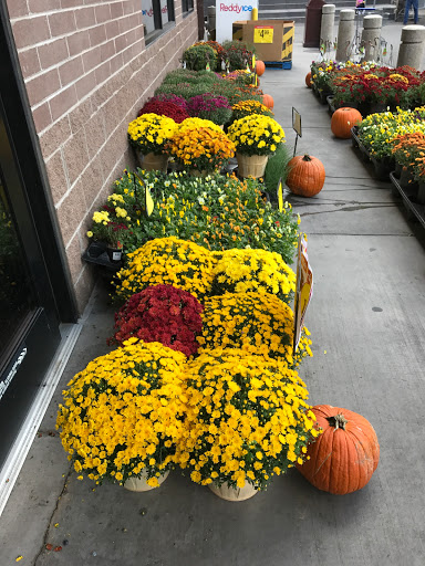 Grocery Store «City Market», reviews and photos, 711 E Cooper Ave, Aspen, CO 81611, USA