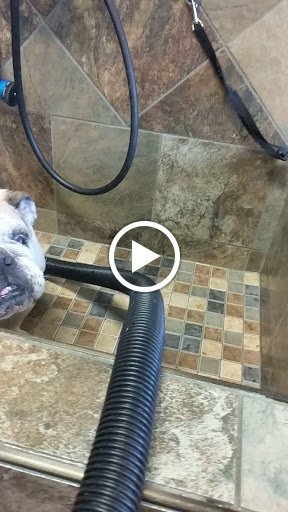 Pet Supply Store «Pet Valu», reviews and photos, 411 Valley Brook Ave, Lyndhurst, NJ 07071, USA