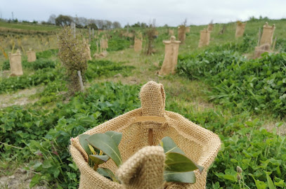 Eco Gard: Biodegradable Plant Protectors