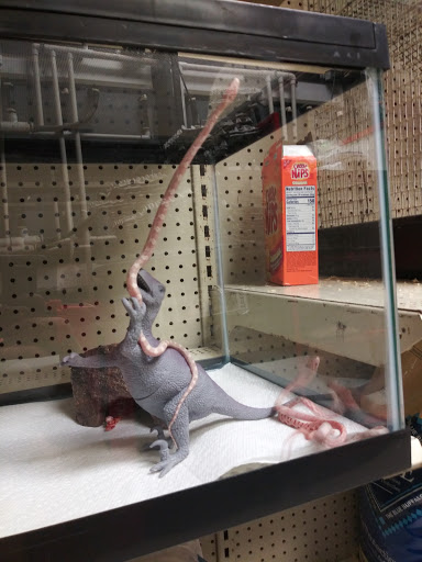 Pet Store «Pet Malls», reviews and photos, 11691 Boyette Rd, Riverview, FL 33569, USA