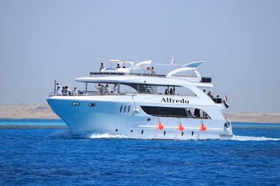 Megalodon Diving Club Sharm El Sheikh