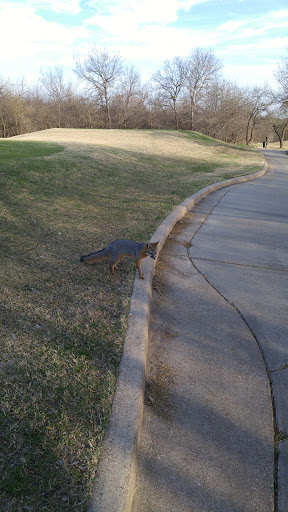 Golf Instructor «Mansfield National Golf Club», reviews and photos, 3750 National Pkwy, Mansfield, TX 76063, USA