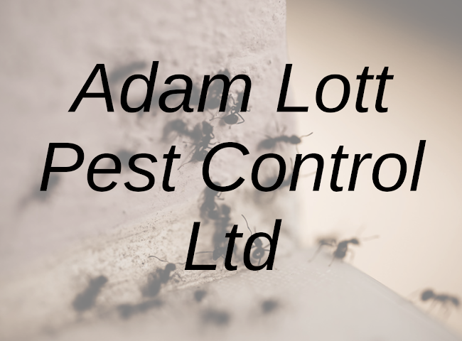 Reviews of Adam Lott Pest Control Ltd in Gloucester - Pest control service