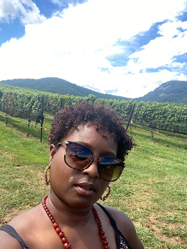 Winery «Yonah Mountain Vineyards», reviews and photos, 1717 GA-255, Cleveland, GA 30528, USA