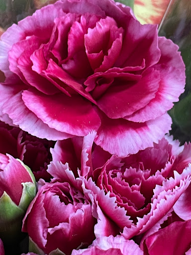 Florist «Presto Flowers, LLC», reviews and photos, 14 Lakeside Blvd, Hopatcong, NJ 07843, USA