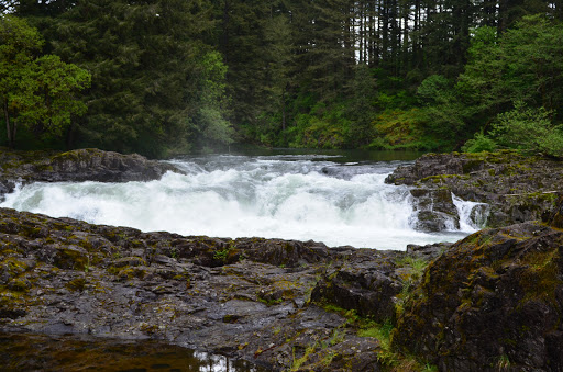Park «Rocky Butte Park», reviews and photos, NE Rocky Butte Rd, Portland, OR 97220, USA