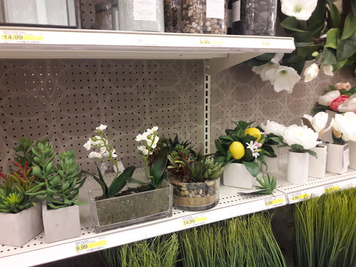 Department Store «Target», reviews and photos, 4040 N Oracle Rd, Tucson, AZ 85705, USA