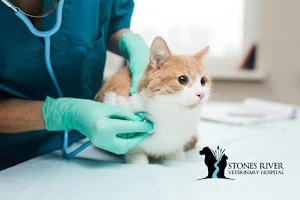 Stones River Veterinary Hospital image