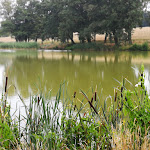 Photo n°3 de l'avis de Anke.. fait le 22/07/2018 à 14:54 sur le  Hotel & Restaurant Zu den Schildbürgern - David Scheibe à Lossatal