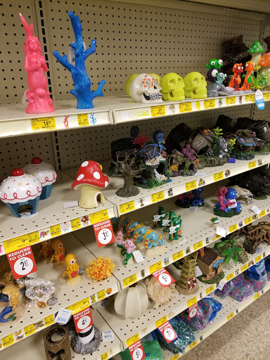Pet Supply Store «PetSmart», reviews and photos, 2500 Posner Blvd, Davenport, FL 33837, USA