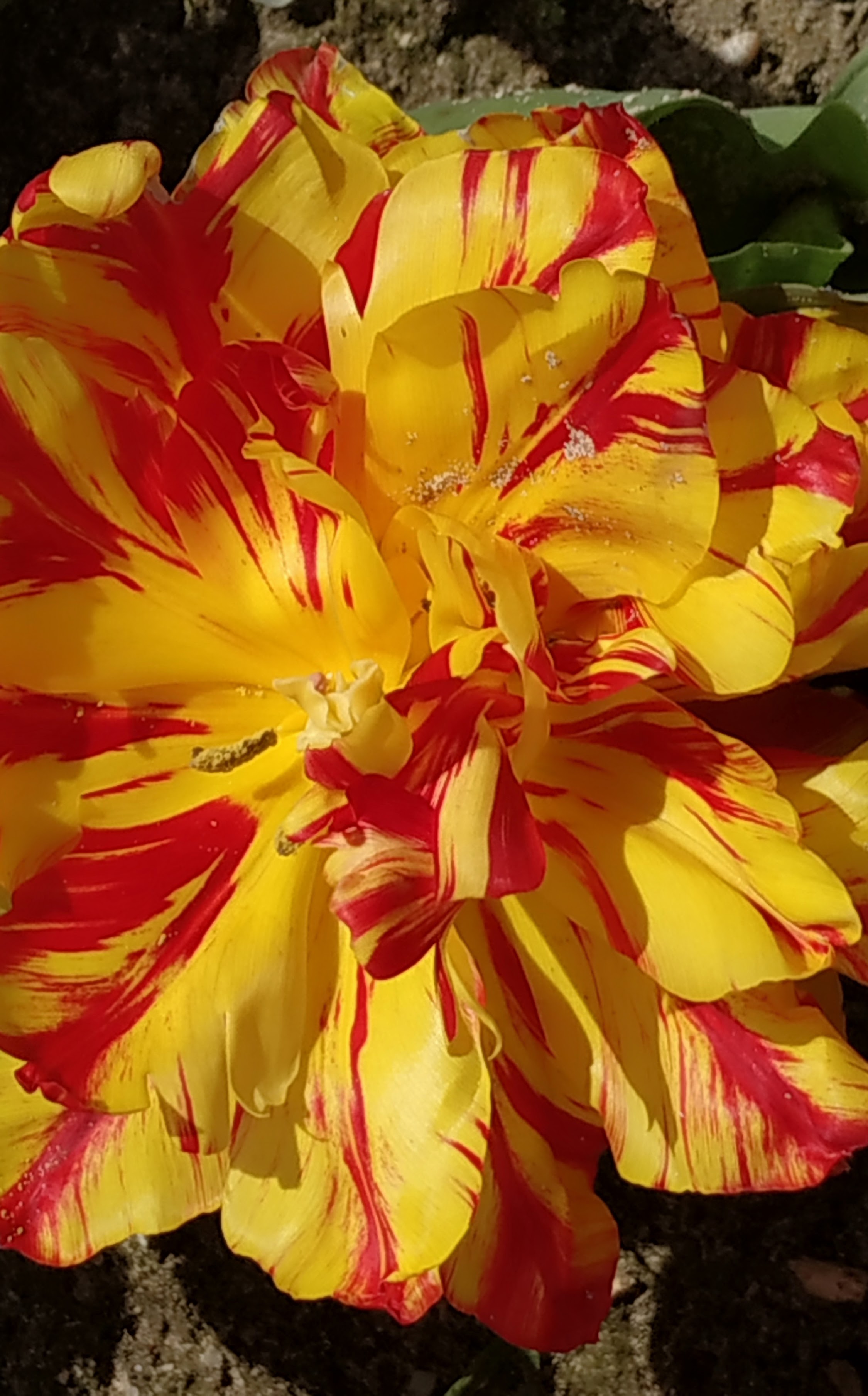 Photo n° 28 de l'avis de The.a fait le 05/04/2023 à 21:57