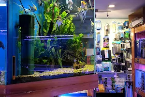 Annerley Aquarium image