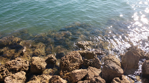 Park «Arch Creek Park», reviews and photos, 1855 NE 135th St, North Miami, FL 33181, USA