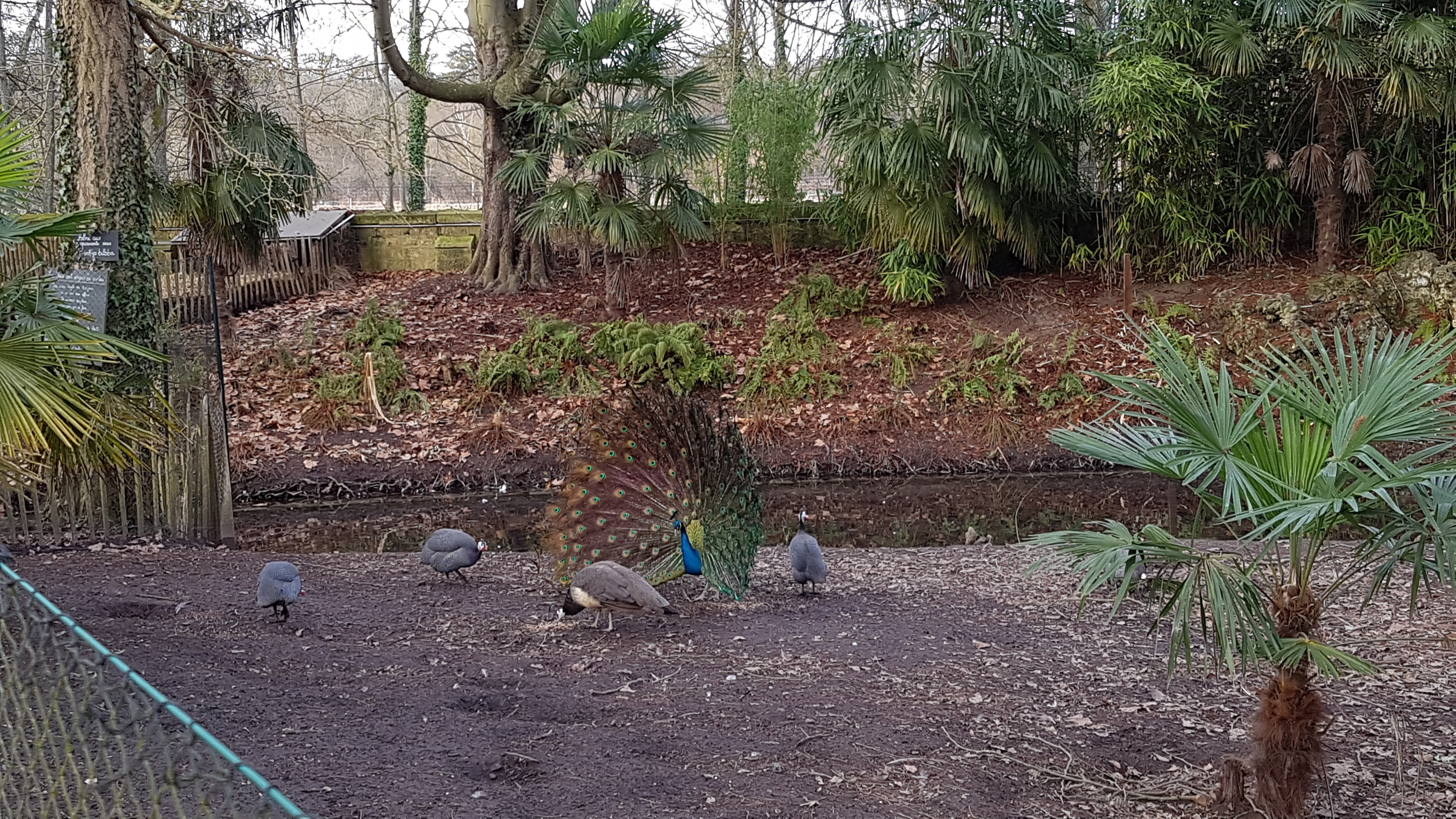 Photo n° 1 de l'avis de Alexis.o fait le 28/01/2017 à 16:46