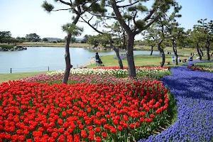 Uminonakamichi Seaside Park image