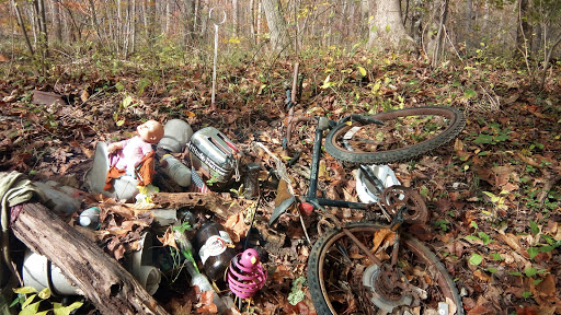 State Park «Rosaryville State Park», reviews and photos, 7805 W Marlton Ave, Clinton, MD 20735, USA