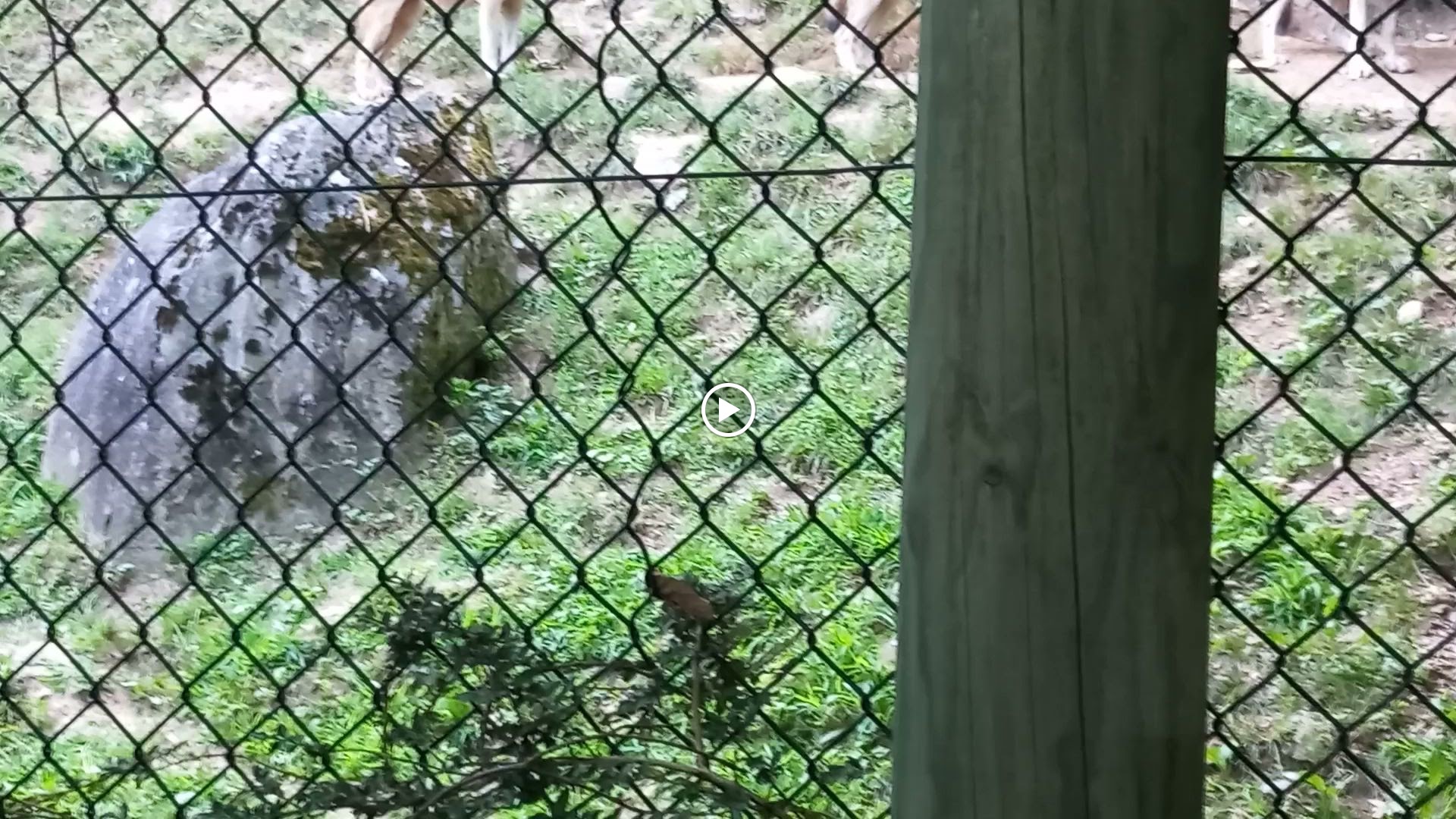 Photo n° 7 de l'avis de Cédric.O fait le 10/08/2023 à 16:41