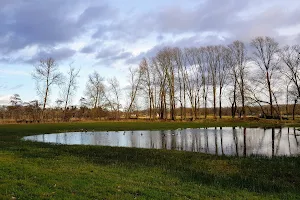 Natuurgebied Blauwe Kamer image