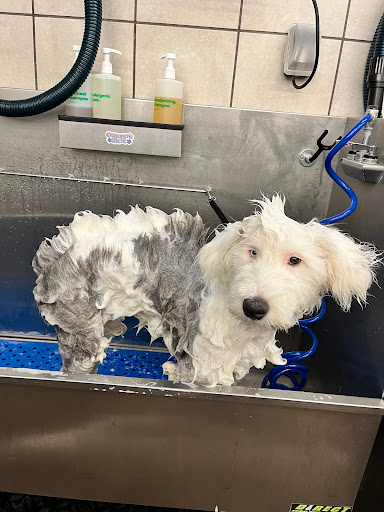 Pet Supply Store «Pet Supplies Plus», reviews and photos, 1031 Northwest Hwy, Garland, TX 75041, USA