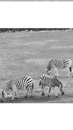 Zoo «Frank Buck Zoo», reviews and photos, 1000 W California St, Gainesville, TX 76240, USA