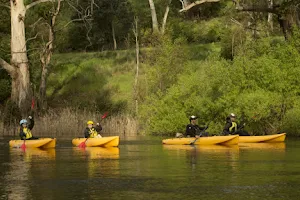 Tassie Bound Adventure Tours image