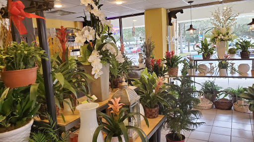 Florist «Florist Of The Northwoods», reviews and photos, 2250 FL-580 #5, Clearwater, FL 33763, USA