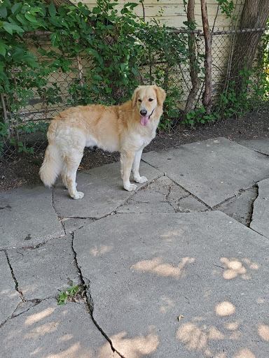 Pet Supply Store «PetSmart», reviews and photos, 2101 Elmwood Ave, Buffalo, NY 14207, USA