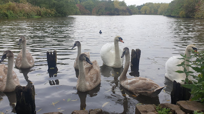 Bestwood Country Park - Mill Lakes - Nottingham