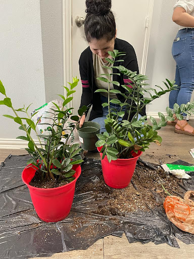 Auto Insurance Agency «Carlos Luevano Jr - State Farm Insurance Agent», reviews and photos