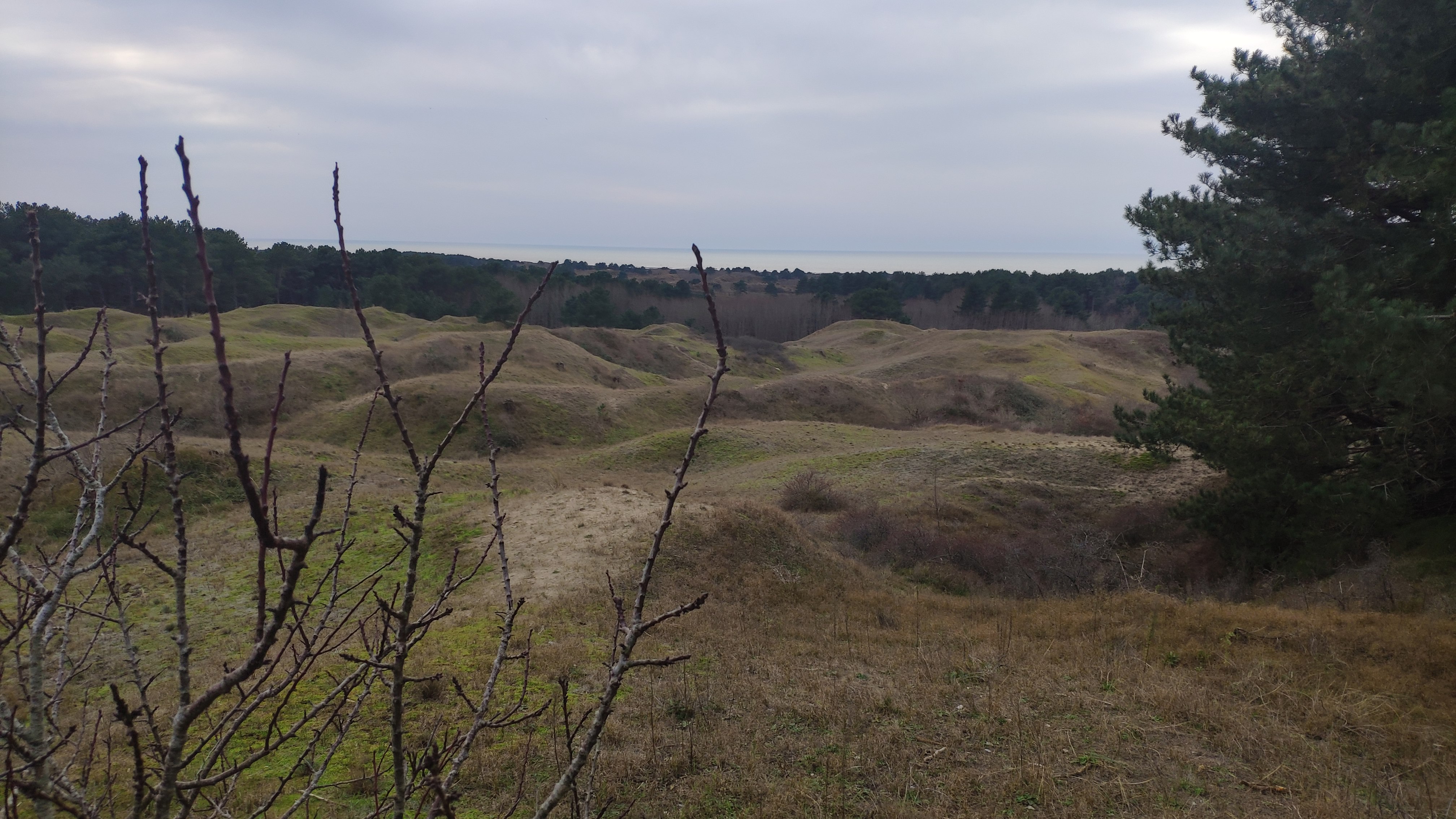 Photo n° 5 de l'avis de Vince.e fait le 01/01/2022 à 17:32