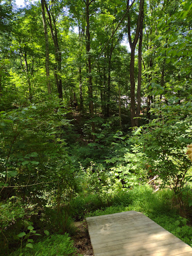 Tourist Attraction «Adventureworks Zipline Forest», reviews and photos, 4129 Whites Creek Pike, Whites Creek, TN 37189, USA