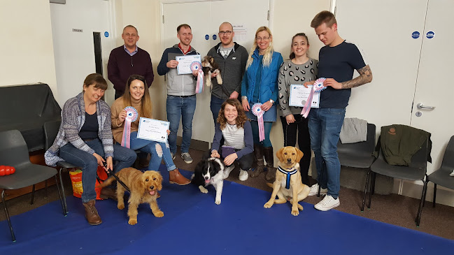 Reviews of Guiding Paws in Colchester - Dog trainer