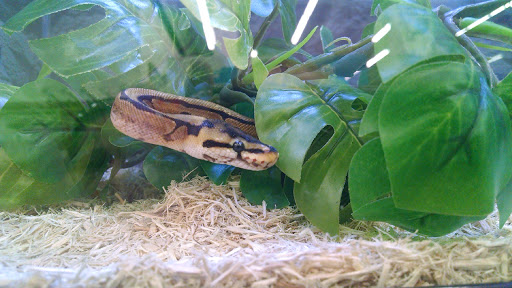 Pet Supply Store «Petco Animal Supplies», reviews and photos, 1049 S Willow St, Manchester, NH 03103, USA