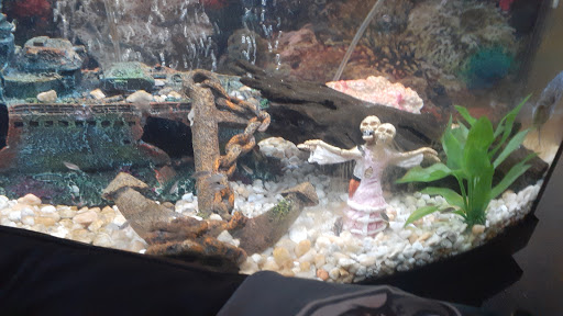 Pet Store «Precious Pets III», reviews and photos, 1091 US-130, Burlington, NJ 08016, USA