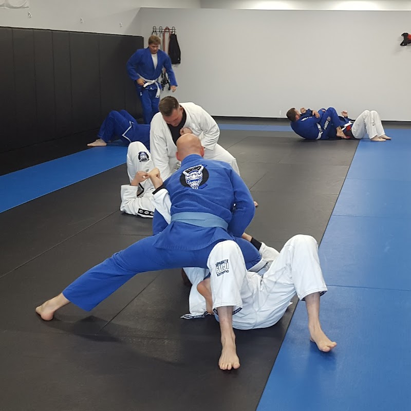 Twin Cities BJJ and Muay Thai