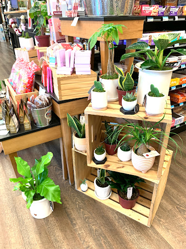 Health Food Store «Good Earth Natural Foods Co», reviews and photos, 500 State St, Orem, UT 84058, USA