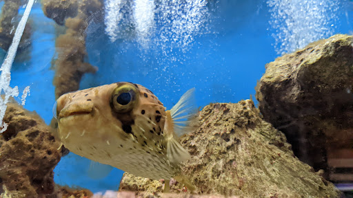 Pet Store «Pet World Warehouse Outlet», reviews and photos, 2984 S 108th St, Milwaukee, WI 53227, USA