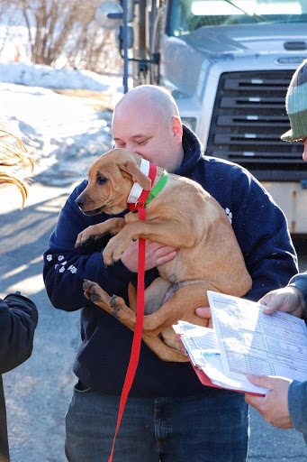 Rumney Animal Hospital