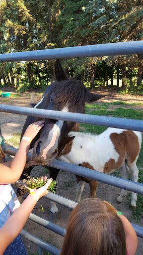 Water Park «Pine Lake Waterpark», reviews and photos, 4640 W State Road 218, Berne, IN 46711, USA