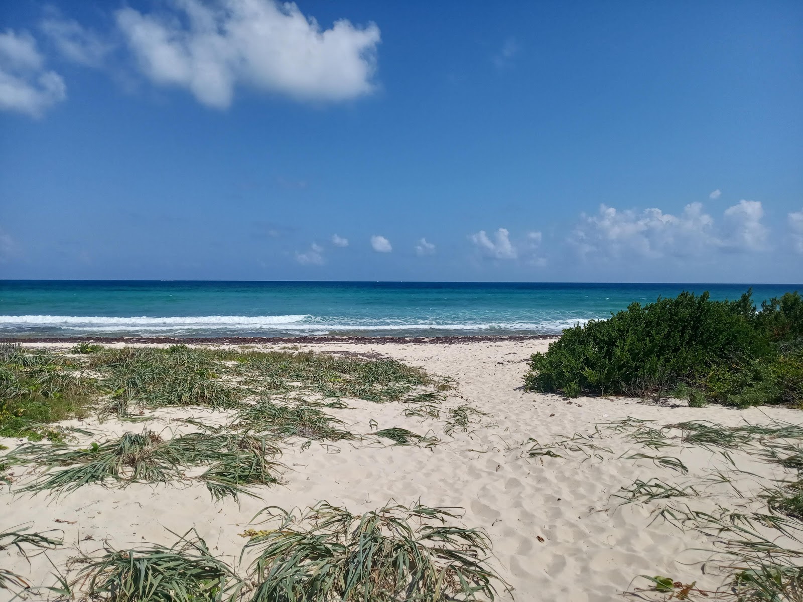 Foto de Playa Punta Brava con recta y larga