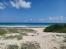 Photo de Playa Punta Brava avec un niveau de propreté de très propre